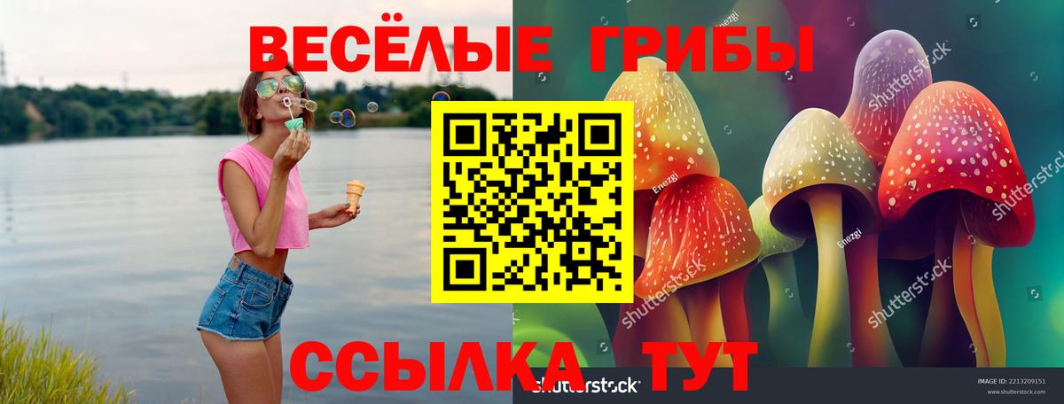Галлюциногенные грибы GOLDEN TEACHER Пушкино